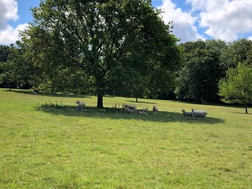 One of the grass fields