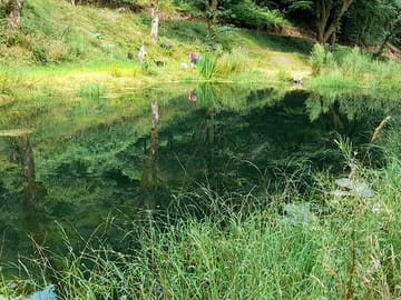 Relax by the wildlife ponds