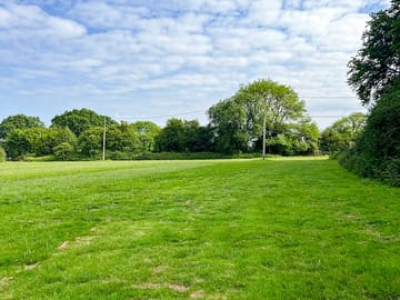 Campsite sheltered by trees
