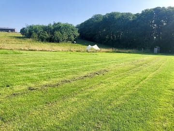The site