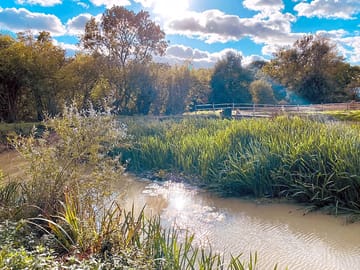 One of two fishing ponds on the farm