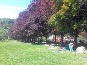 Green surroundings