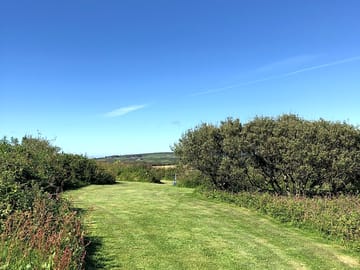 Around the site
