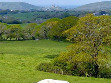 The castle from our fields