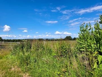 View east