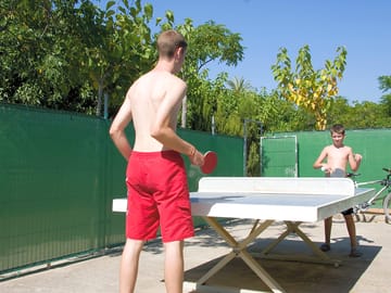 Ping-pong table