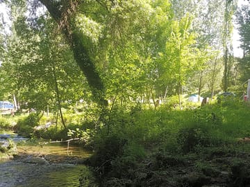 Pitches next to the river