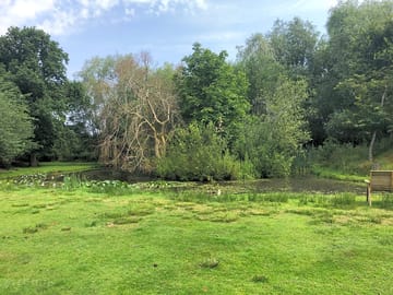 A view of the neighbouring paddock