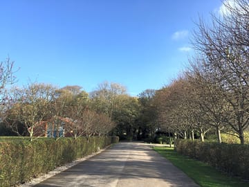 Road through the park