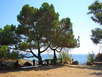Beach access