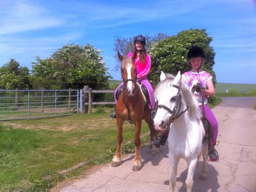 Horses and ponies from plum pudding riding stables next door