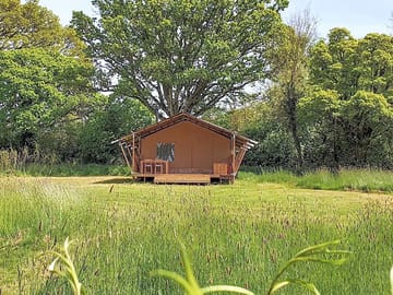 Safari tent view