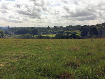 Wide open fields