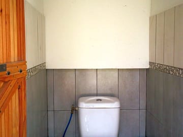 Flushing toilet