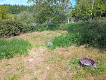 Pitch 10