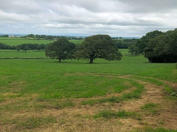 Silage field