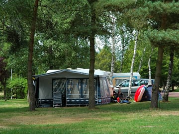 Grass pitches with natural shade