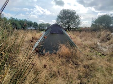 Campers set up on site