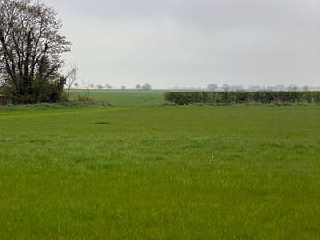 Looking out from the pitches