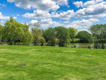Green and grassy views
