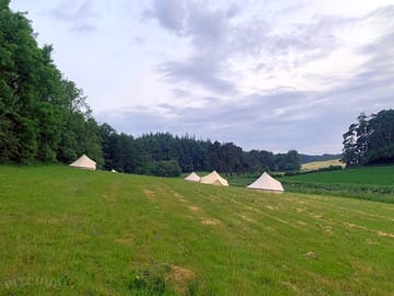 Field at dusk