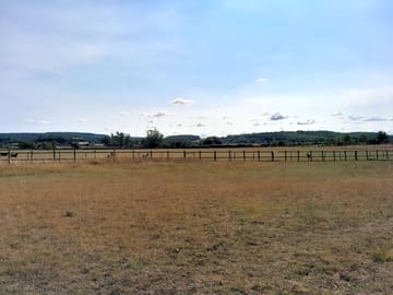 View from the field