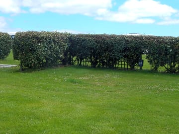 Spacious pitches
