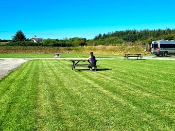 The site