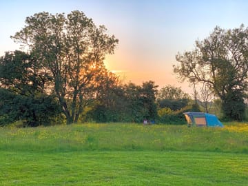 View across the pitches