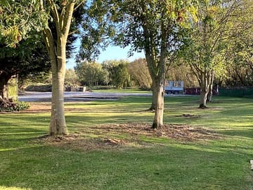 Around the site