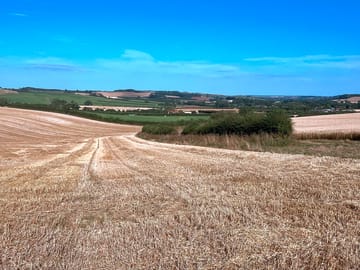 Far-reaching wolds views