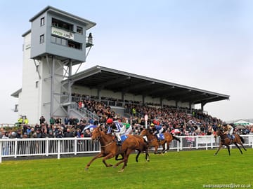Race in progress