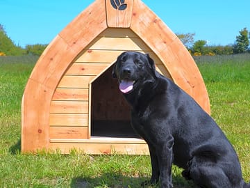 Dog pods are available