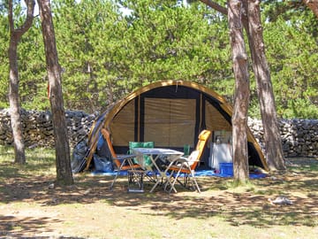 Pitch among the trees