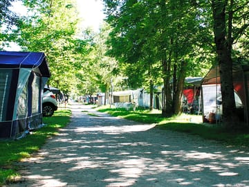 View of the pitches