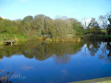Coarse fishing lake with carp, bream and tench