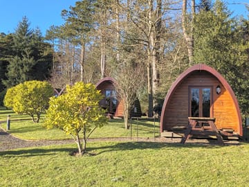 The pods surrounded by greenery