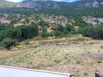 The area around the site