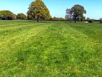 Spacious grass pitches