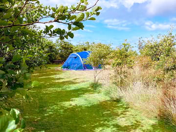 Secluded pitch
