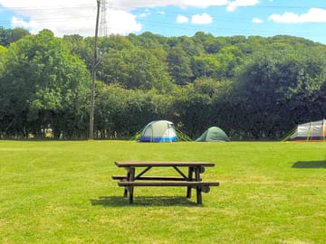 Grass pitch