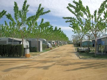 Well-maintained grounds