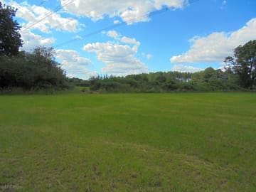 View down the field