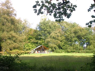 Safari tent in meadow