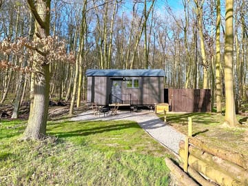 The Nest surrounded by trees