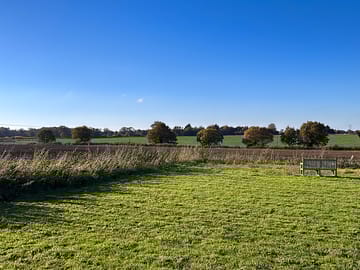 Open meadow