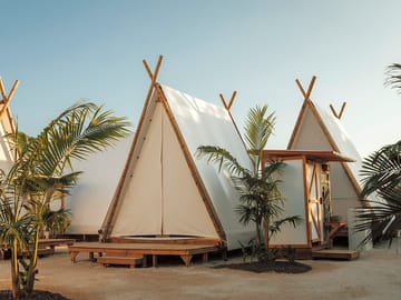 Palm trees dotted around the site