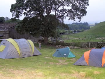 Small, secluded campsite on a working farm in northumberland