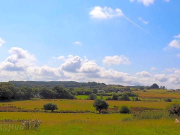 Rural scenery