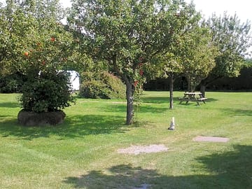 The orchard